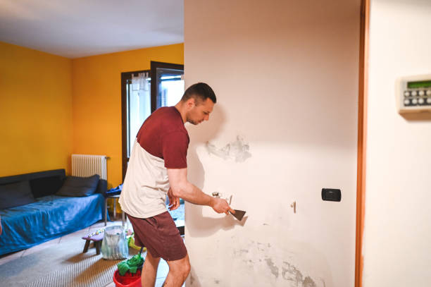 Best Mold Inspection  in Boaz, WV